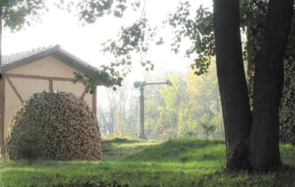 Apartamenty Carskie Białowieża Eksteriør billede